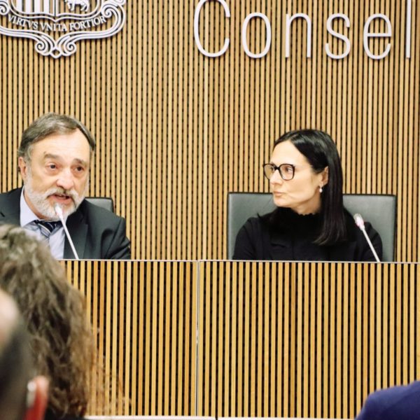 Raonador del Ciutadà