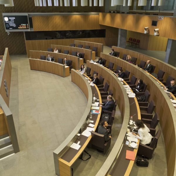 Consell General Covid-19