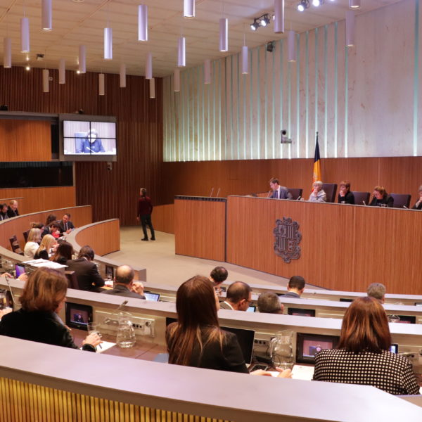 Consell General